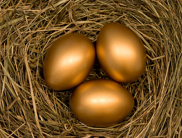 골든 에그스 - wealth eggs animal egg easter egg 뉴스 사진 이미지