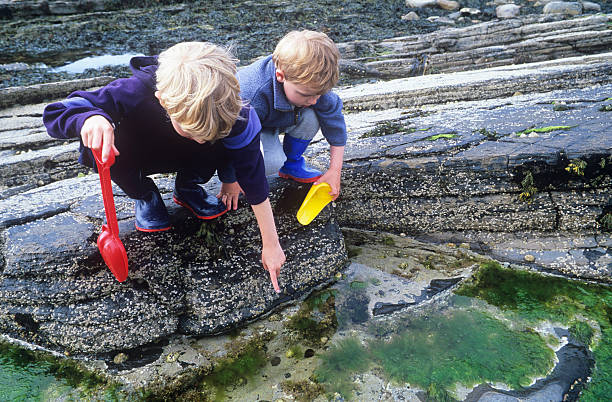 Two boys exploring rockpools stock photo