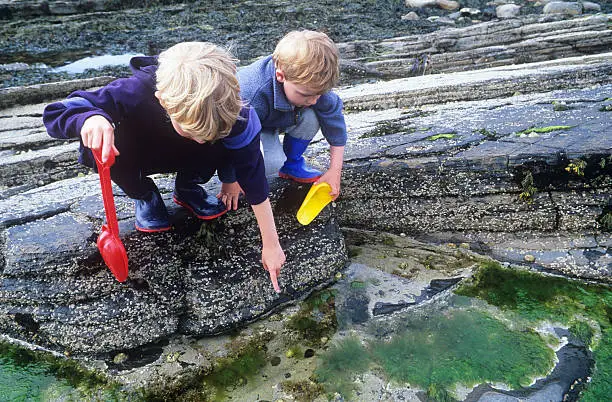 Photo of Two boys exploring rockpools