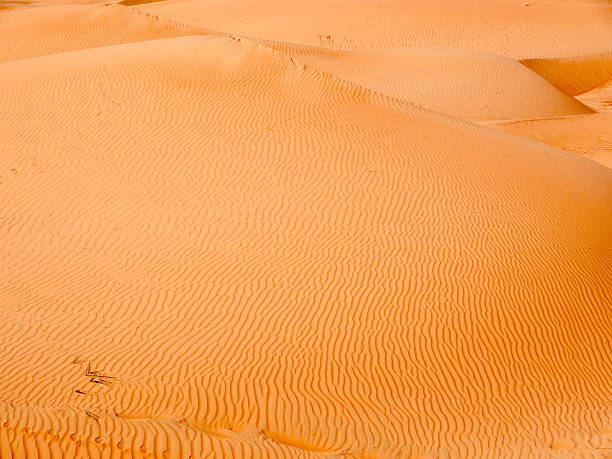 istock Wahiba Sands - Oman 174640316