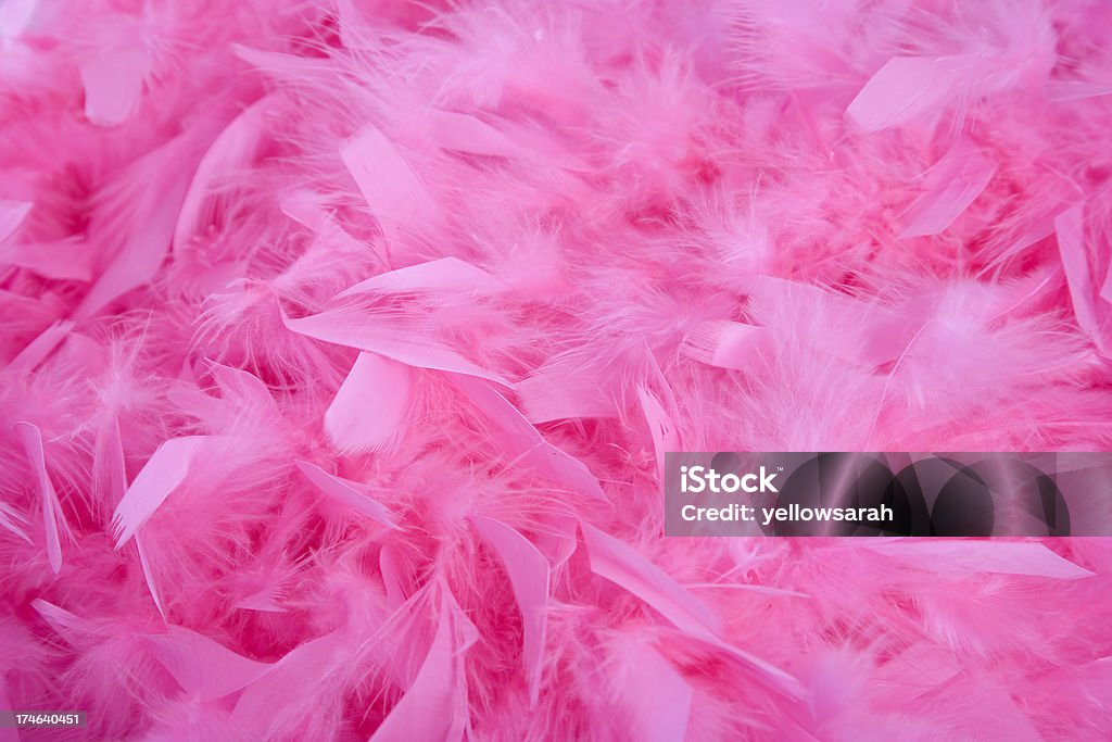 Fondo rosa de pluma - Foto de stock de Pluma de ave libre de derechos