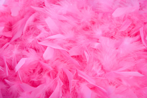 A pink feather background