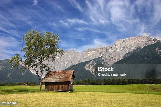 Paesaggio Alpino Nella Regione Di Montagna Austriaco - Fotografie stock e altre immagini di Albero