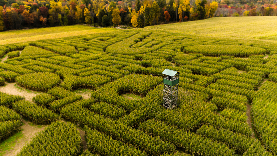 Halloween's Corn Maze in Pennsylvania, Poconos Region in autumn at sunrise.