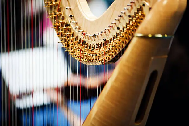 Harp player in orchestra.