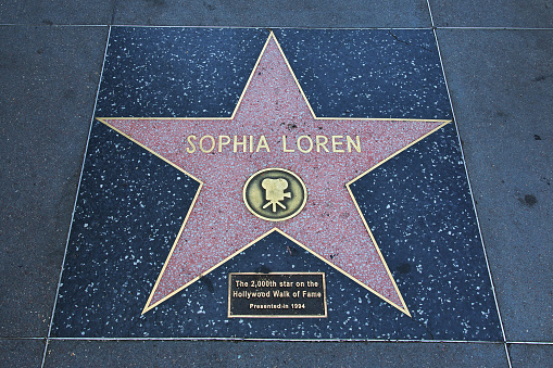 Los Angeles, USA - November 16, 2014: A blank star on the Hollywood Walk of Fame. One of 2,500 stars embedded in the sidewalks of Hollywood Boulevard bearing the names of entertainers. The stars are a monument for achievement in the entertainment industry and a popular tourist destination.