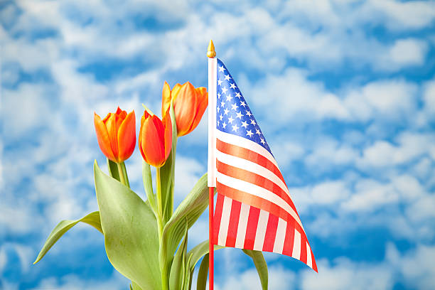 istock Red Tulips & American Flag 174640898