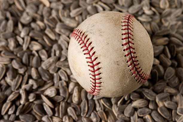 istock Baseball on Sunflower Seeds 174641320