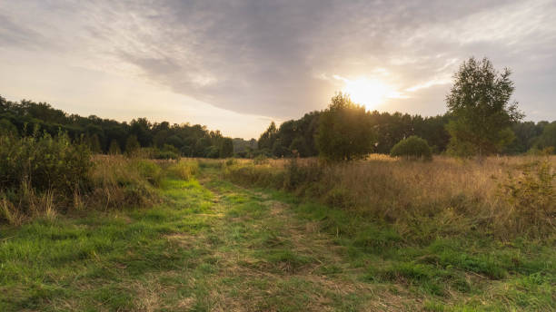 istock The road goes through a grassy field on a sunset background 1746415064
