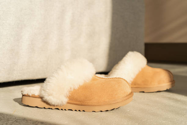 istock Cozy slippers on home floor close up 1746424713