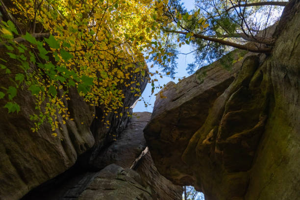 istock Rock City Park, Olean, NY, gigantic rock formations 1746438446