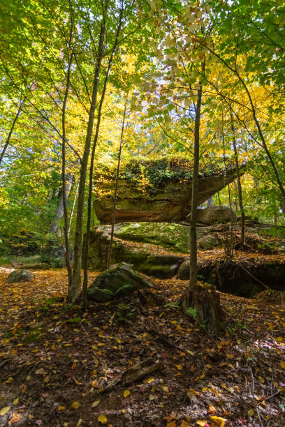 istock Rock City Park, Olean, NY, gigantic rock formations 1746438454