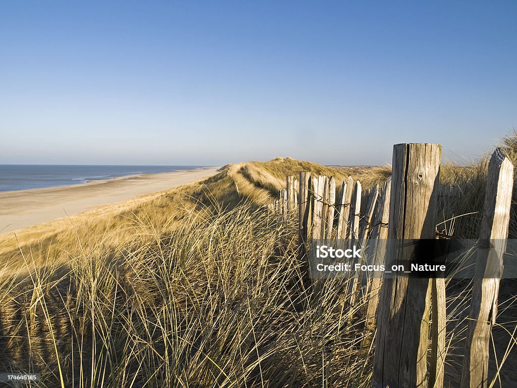 Dune di sabbia e spiaggia - Foto stock royalty-free di Duna