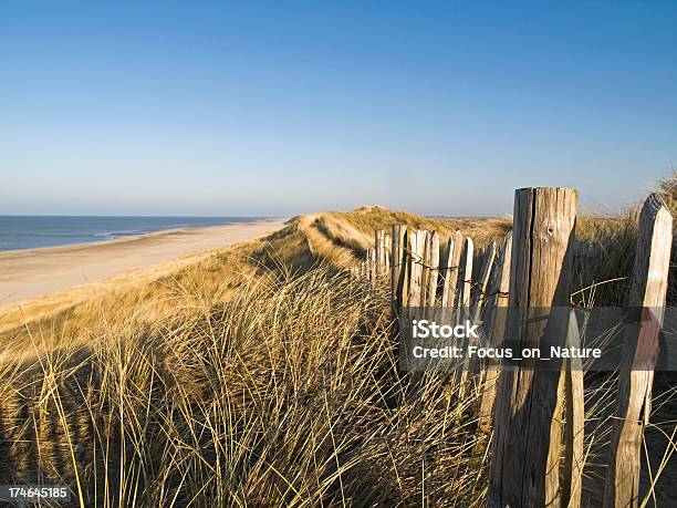 Dune Di Sabbia E Spiaggia - Fotografie stock e altre immagini di Duna - Duna, Paesi Bassi, Mare