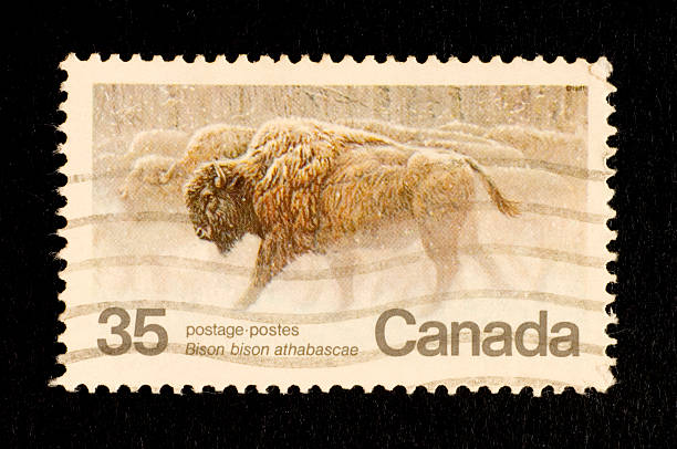 Postage Stamps: Herd of Bison in Winter (Canada)