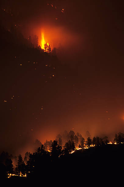 istock Huge flames Rocky Mountain forest wild fire Bailey Colorado 174645360