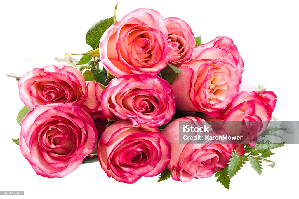 Una dozzina di rose color rosa - Foto stock royalty-free di Dozzina