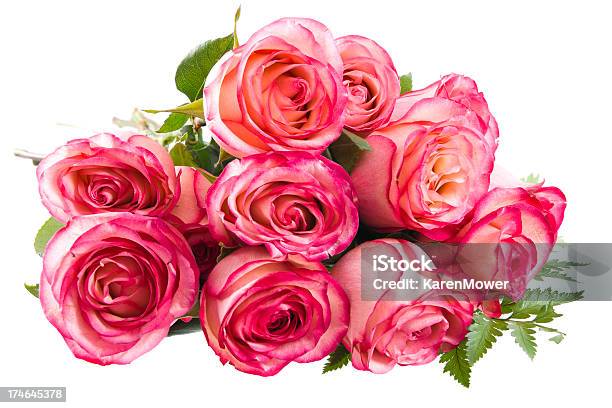 Una Dozzina Di Rose Color Rosa - Fotografie stock e altre immagini di Dozzina - Dozzina, Dozzina di rose, Rosa - Colore