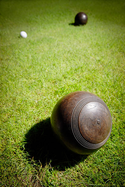 istock Wooden lawn balls on grass close to a jack 174646357