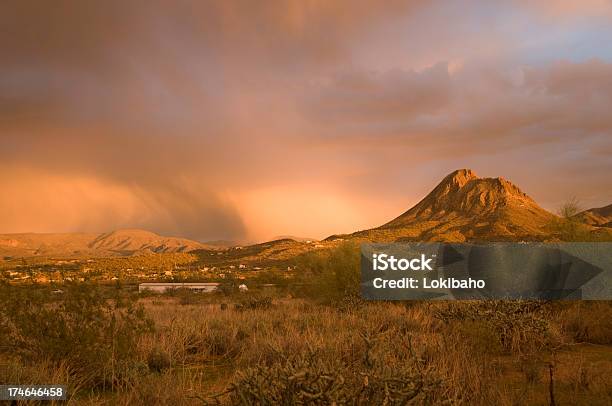 Deserto Rainstorm - Fotografias de stock e mais imagens de Arizona - Arizona, Amanhecer, Amarelo