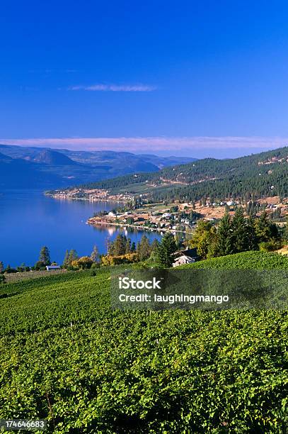 Estabelecimento Vinícola Lago Paisagem Rural - Fotografias de stock e mais imagens de Colúmbia Britânica - Colúmbia Britânica, Kelowna, Vale de Okanagan - Colúmbia Britânica