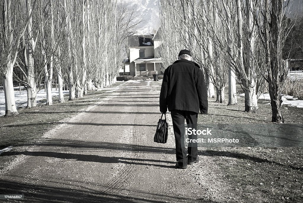 Andando a casa - Foto stock royalty-free di Albero