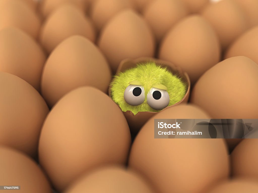 Wielkanoc chick, jaja wylęgowe - Zbiór zdjęć royalty-free (Biały)