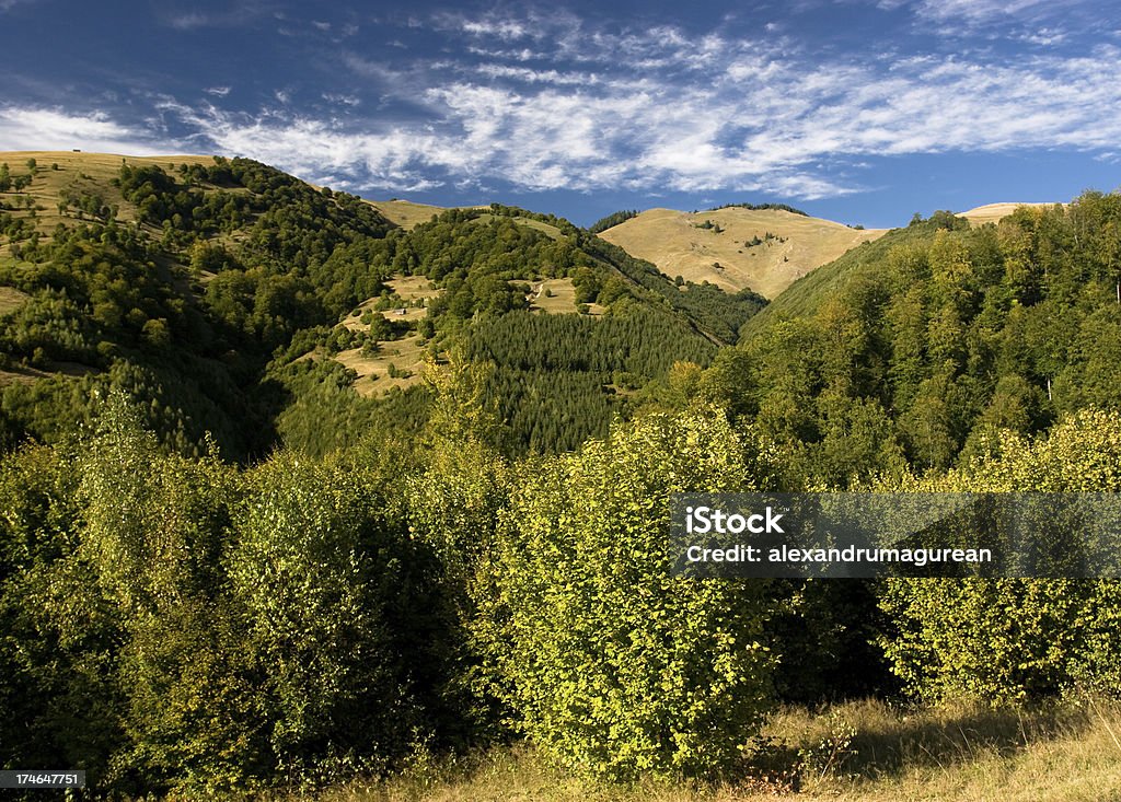 Mountain Landscape Rodnei Mountains - Romania Beauty In Nature Stock Photo