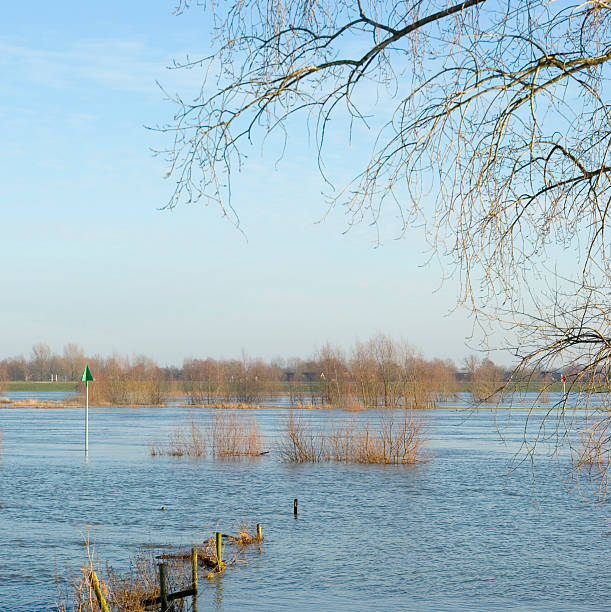 istock Dutch Landscape: Flooded River IJssel with Beacon & Fence 174647880