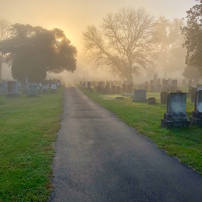 A road leads through a cemetery with backlit tombstones at sunrise on a foggy morning.