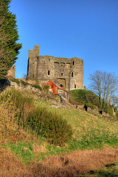 istock Kidwelly Castle and clear blue sky bridge 174648703