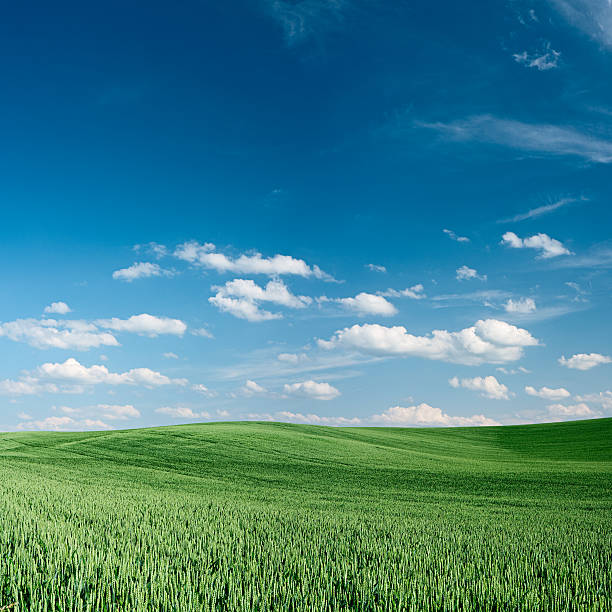 istock Spring landscape 30MPix - XXXXL size 174649372