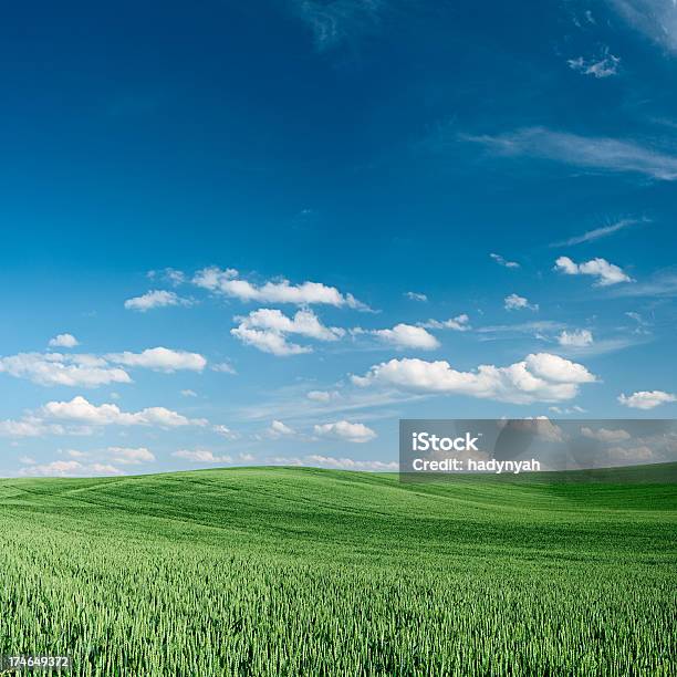 Foto de Primavera Paisagem 30mpixxxxxl Size e mais fotos de stock de Agricultura - Agricultura, Ajardinado, Azul