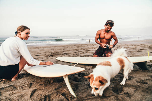 istock smiling couple waxing their surfboard on the beach 1746501506