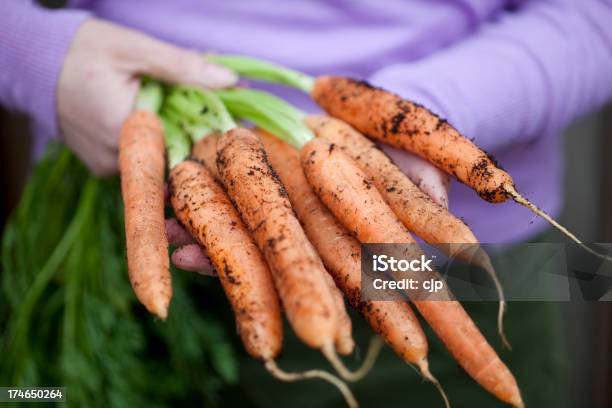 Cenouras Orgânicas Recentemente Empurrado - Fotografias de stock e mais imagens de Cenoura - Cenoura, Comida e Bebida, Feito em Casa