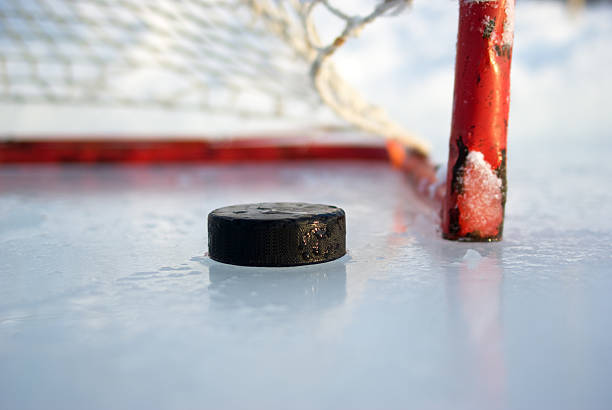 Hockey Net and Puck A hockey puck rest next to the goal line on a glistening outdoor Canadian ice rink.Similar Images. ice hockey net stock pictures, royalty-free photos & images