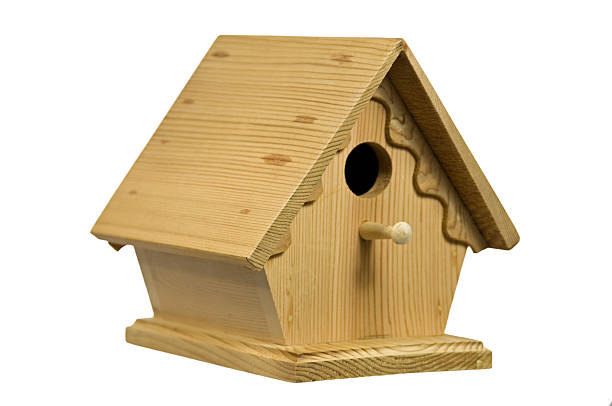 istock Wood Bird House 174650590