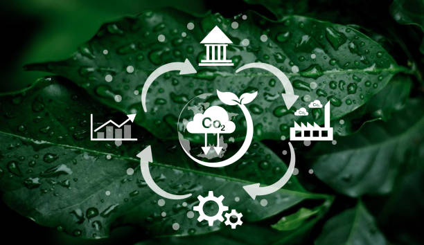 Reduce CO2 emission concept. concepto de reducción de emisiones de co2. medio ambiente limpio y amigable sin emisiones de dióxido de carbono. icono de reducción de co2 dentro de la lupa para el crédito de carbono para limitar el calentamiento global del cambio climático