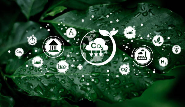 istock Reduce CO2 emission concept. Clean and friendly environment without carbon dioxide emissions.CO2 reducing icon inside magnifier glass for carbon credit to limit global warming from climate change 1746514898