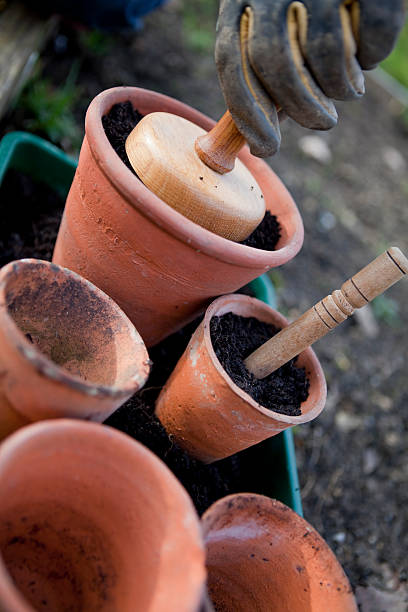 Tamper and Dibber in Flower Pots stock photo