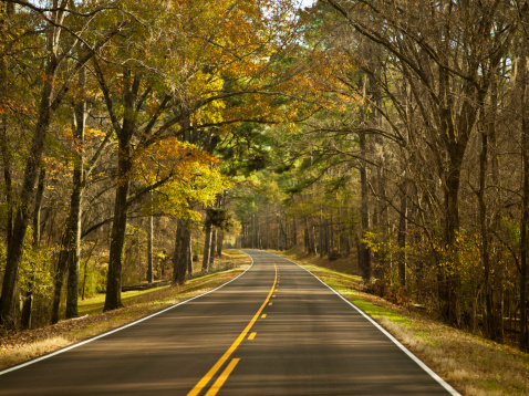 Road down the Natchez Trace Parkway in fall