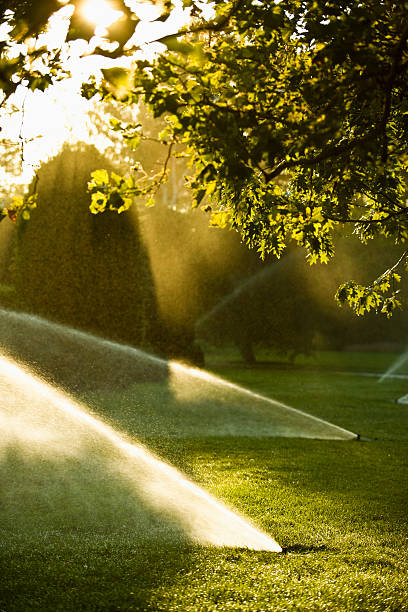 istock Lawn watering spray from the garden hose 174652138