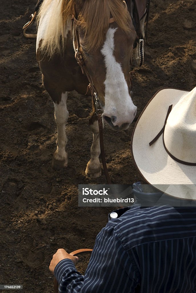 Cowboy cowboy Animal Stock Photo