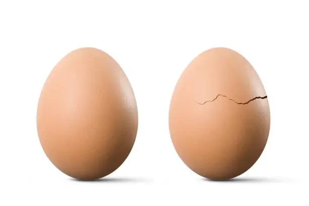 Whole egg and egg with crack. Photo with clipping path. Similar photographs from my portfolio: