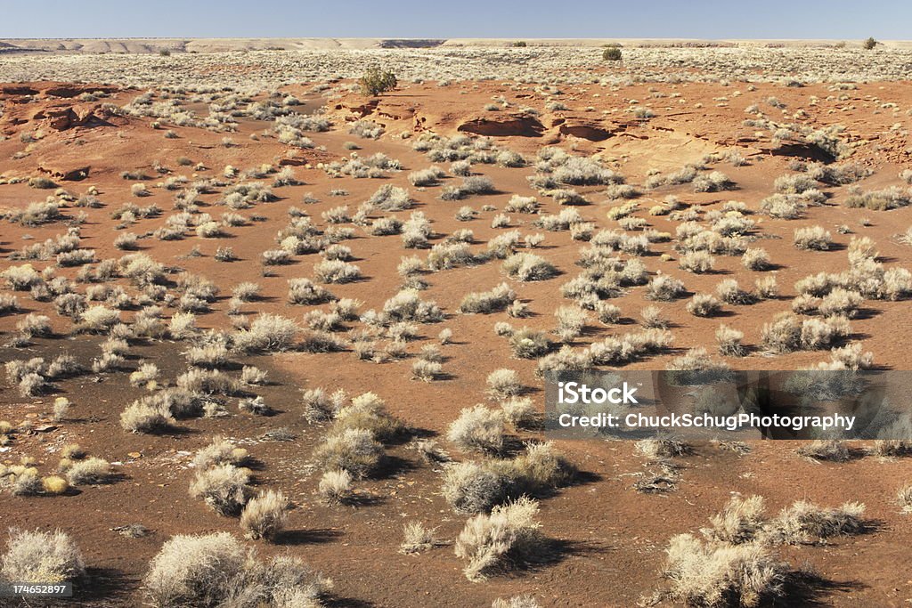 Mojave Sonoran Desert Barren Landscape Vast barren desert landscape bordering the Mojave and Sonoran Deserts with sand and sagebrush stretching to horizon. Sparse Stock Photo