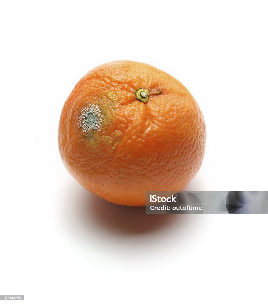 Rotten laranja - Royalty-free Apodrecer Foto de stock