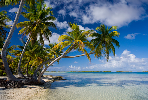 Tropical paradise - part of Aitutaki Lagoon in the Cook Islands in the South Pacific Ocean.