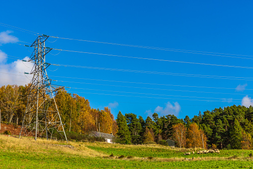 Electricity pylon erected on agricultural land in a very rural area of Kinloch Rannock in the Scottish Highlands and providing power to residents and businesses in the area.  Copy space.  Horizontal.