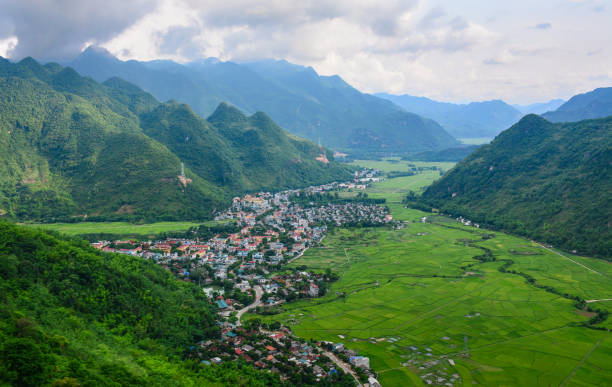 istock Rice field at summer in Northern, Vietnam 1746535059