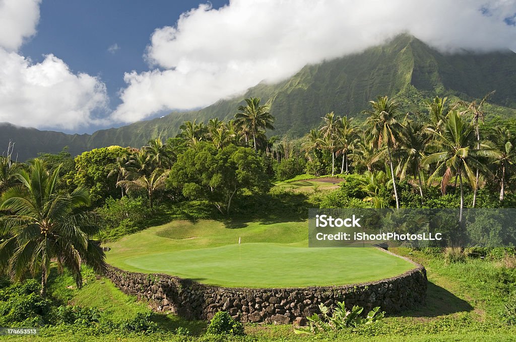 Tropical golfe (Havaí - Foto de stock de Ilhas do Havaí royalty-free